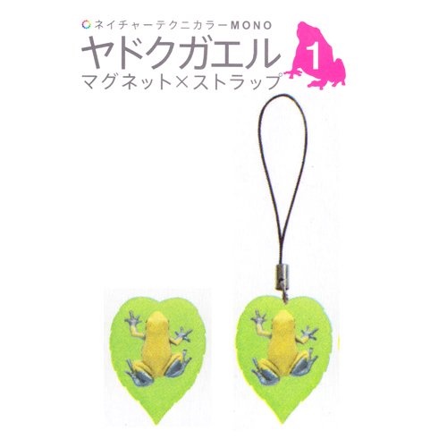 ヤドクガエル1 マグネット ストラップ ネイチャーテクニカラー